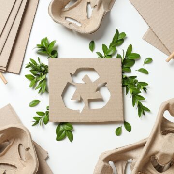 Karton für den Verpackungsbedarf