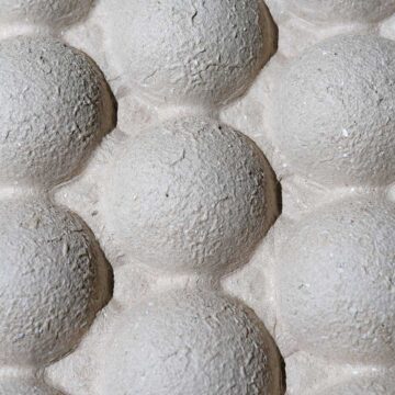 Ökologische Verpackungslösungen aus Pilzen